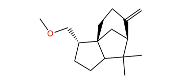 Funebr-3(15)-en-14-yl methyl ether